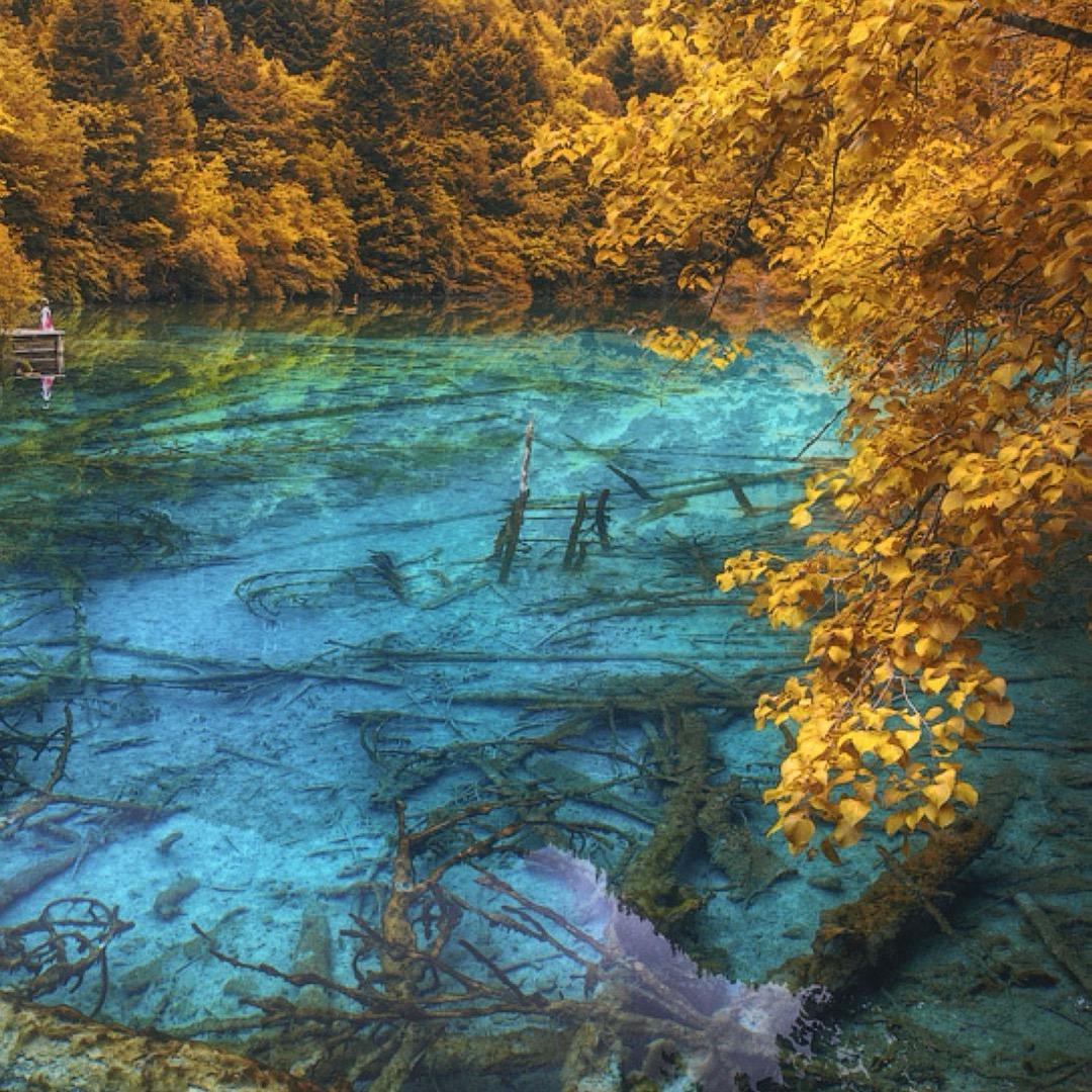 四川诚信青年国际旅行社