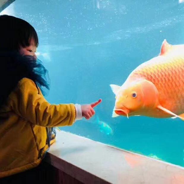 卓泰锦鲤养殖场