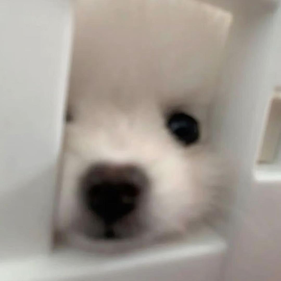 看我不爽就去死