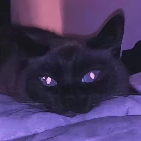 💤