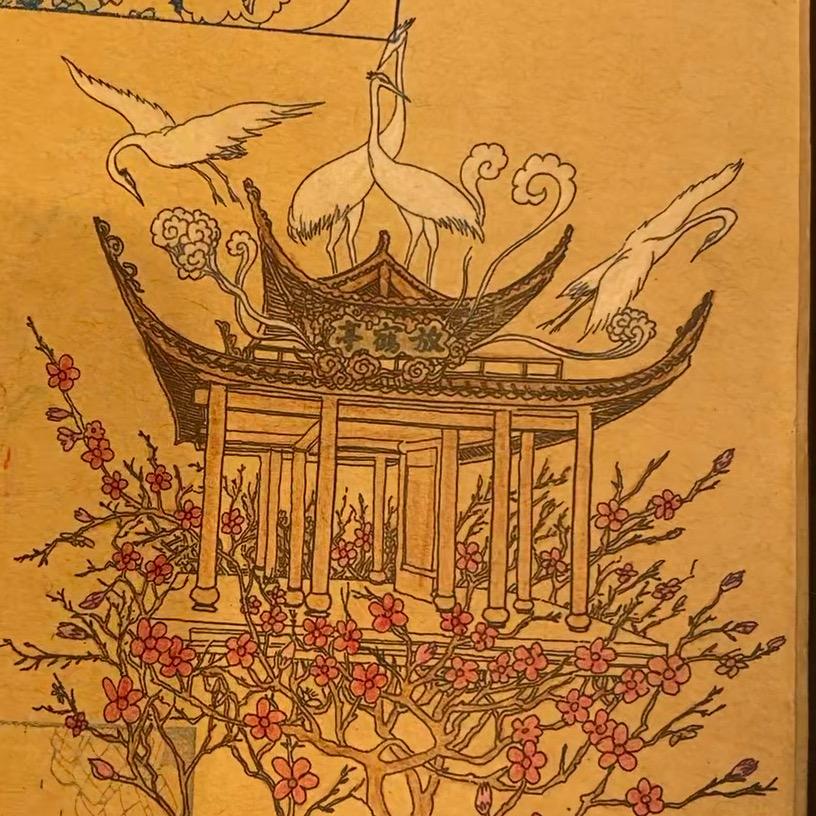 紫苏