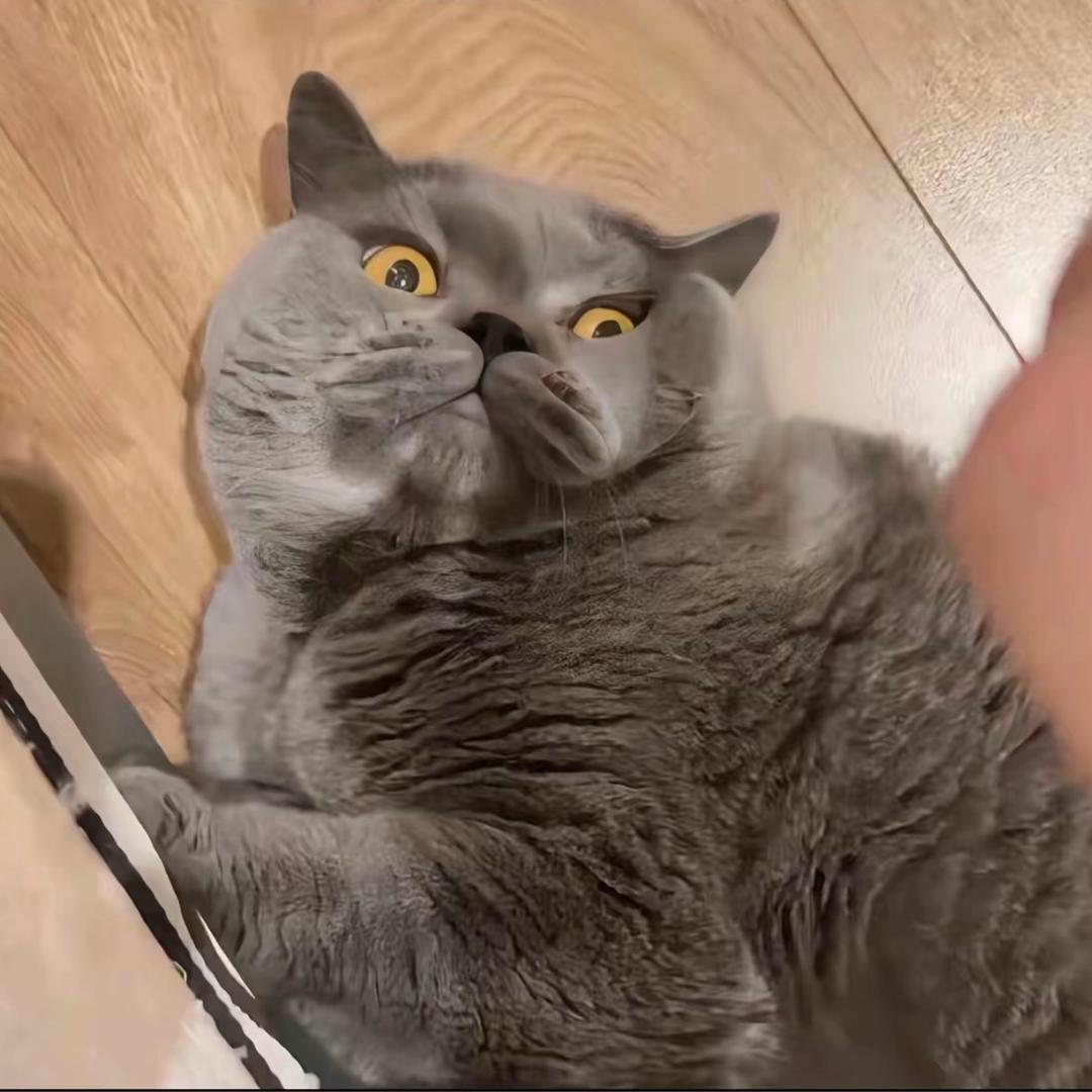 KK