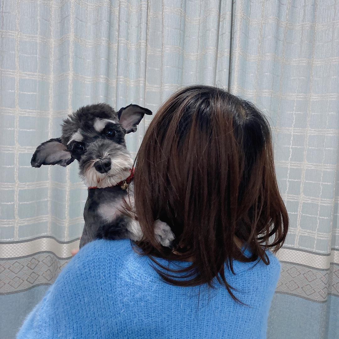 犯懒大王♥