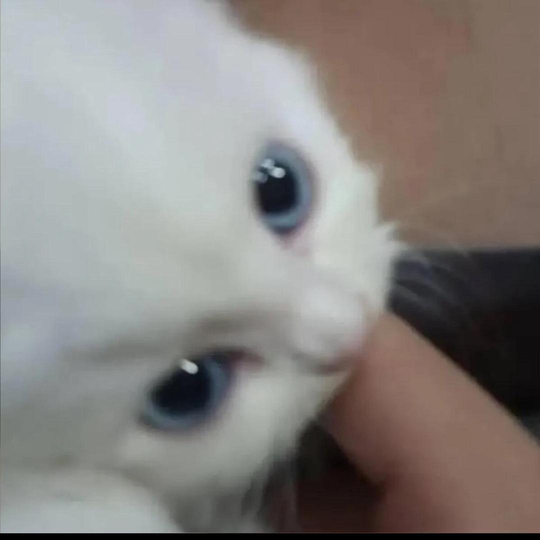 VnPeii_Kx
