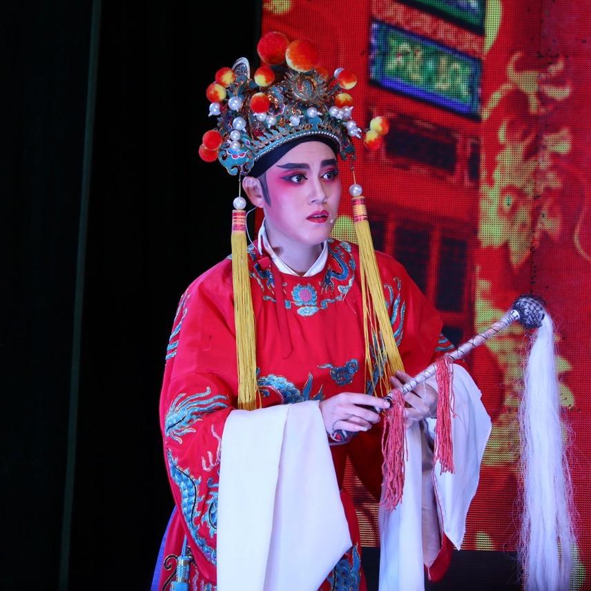 杨羊