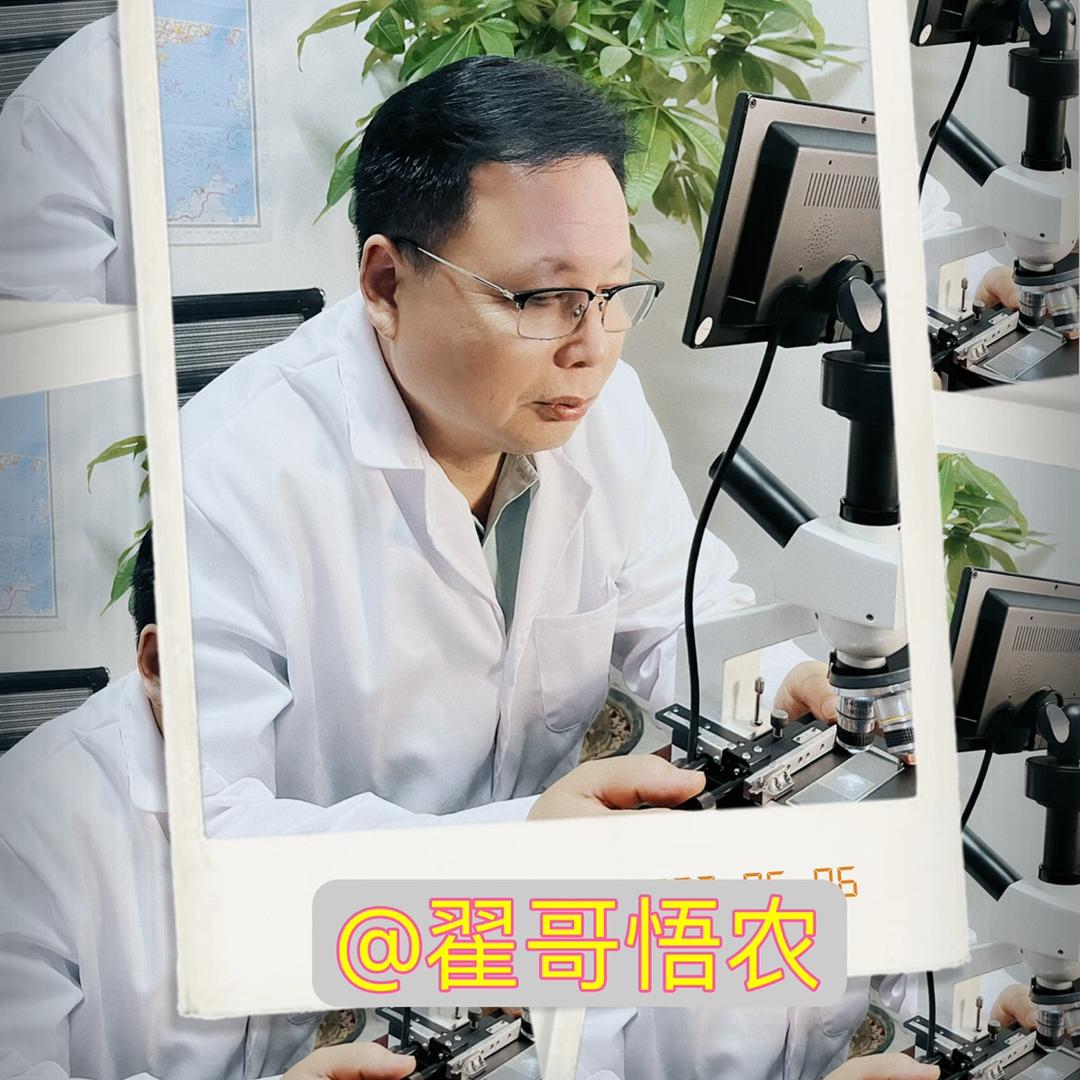 翟哥悟农