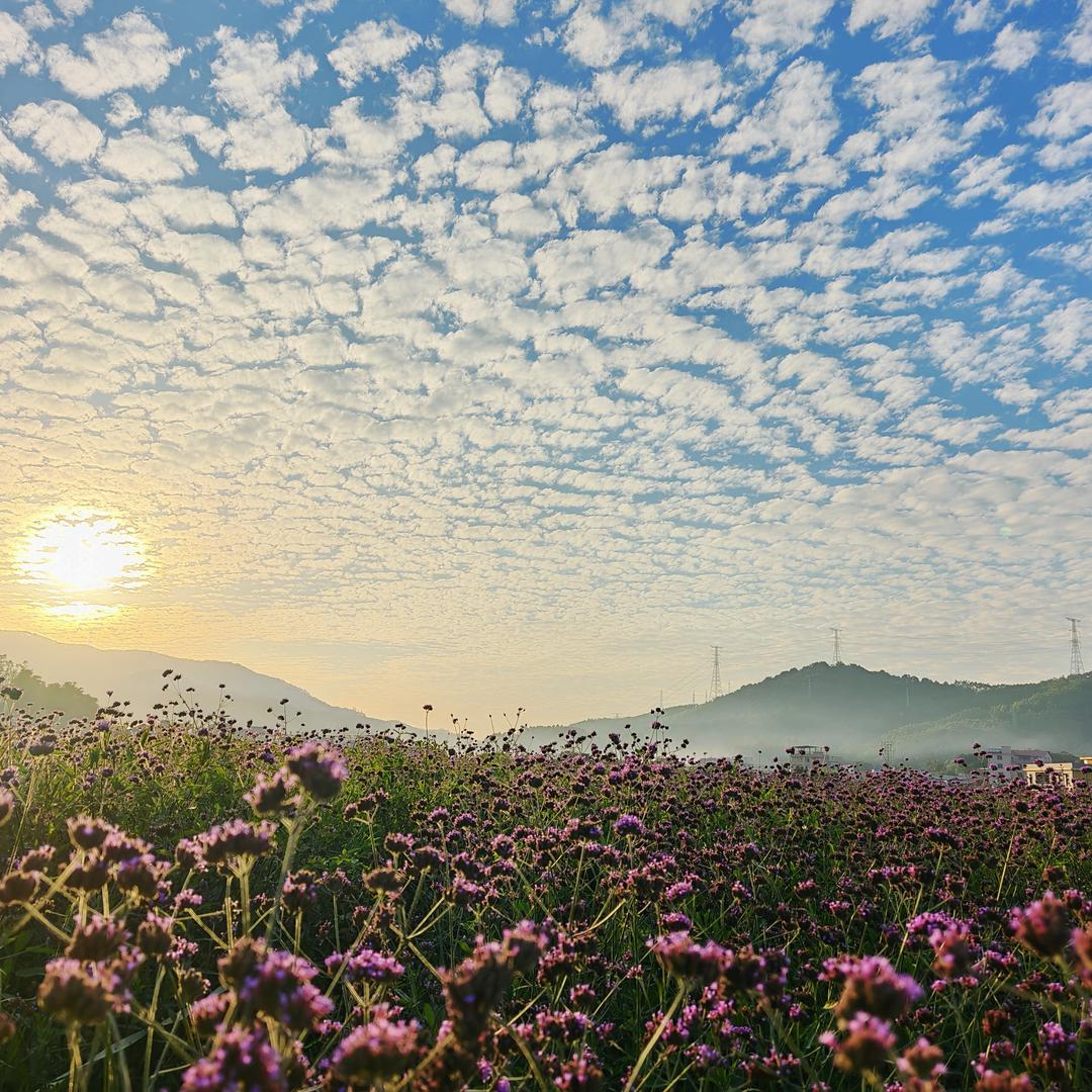 舒心时间