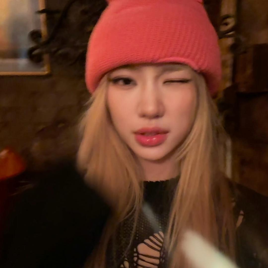 呆呆欢