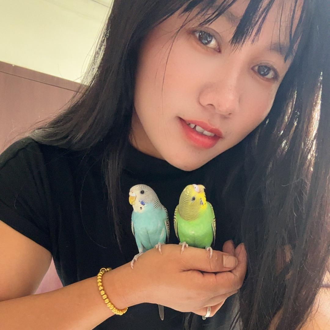 @ 9242小情