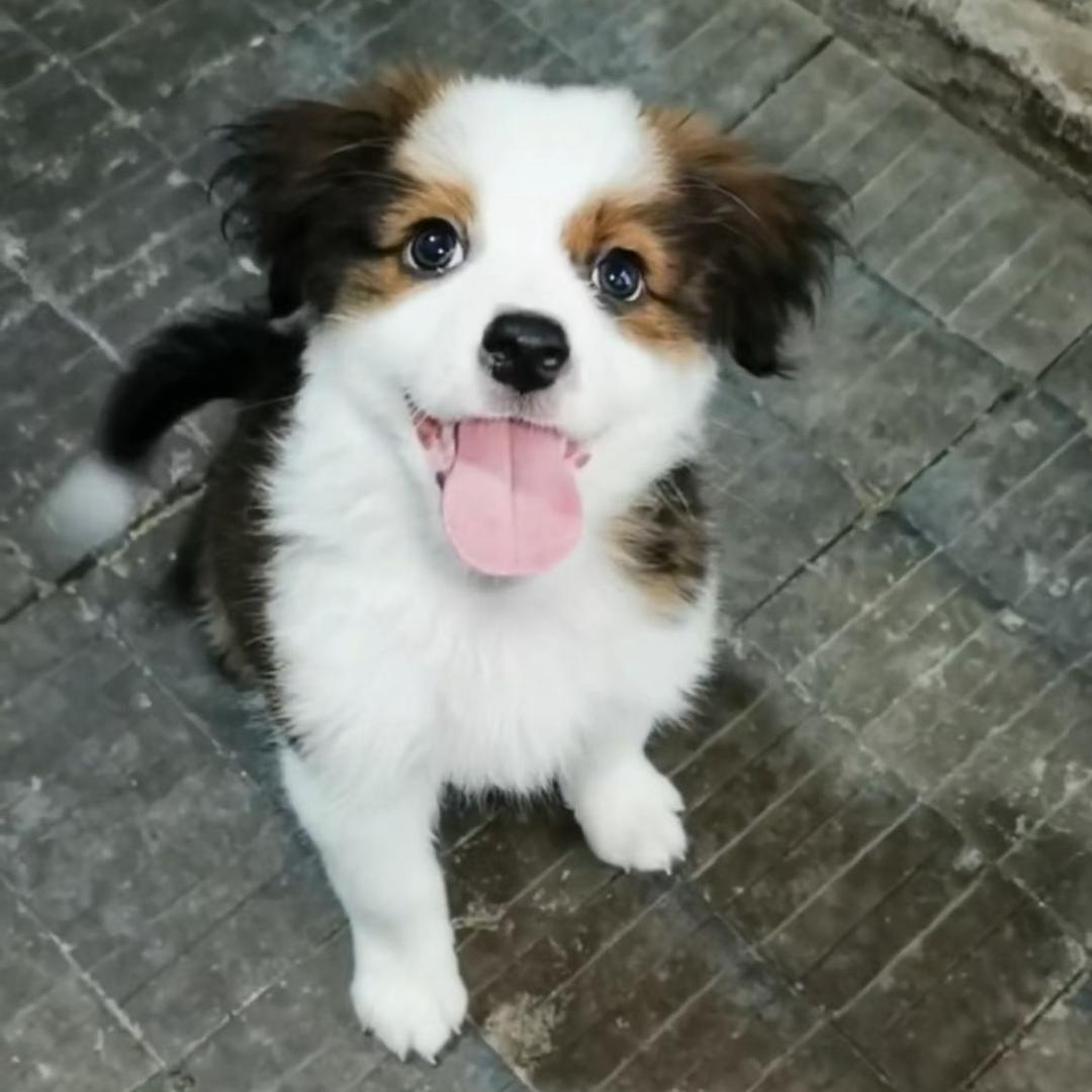 合肥汝家房产