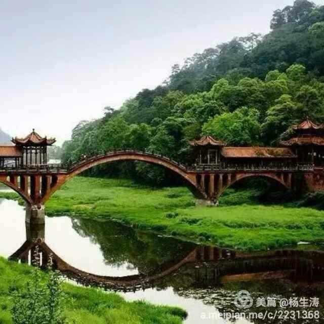 善心缘A