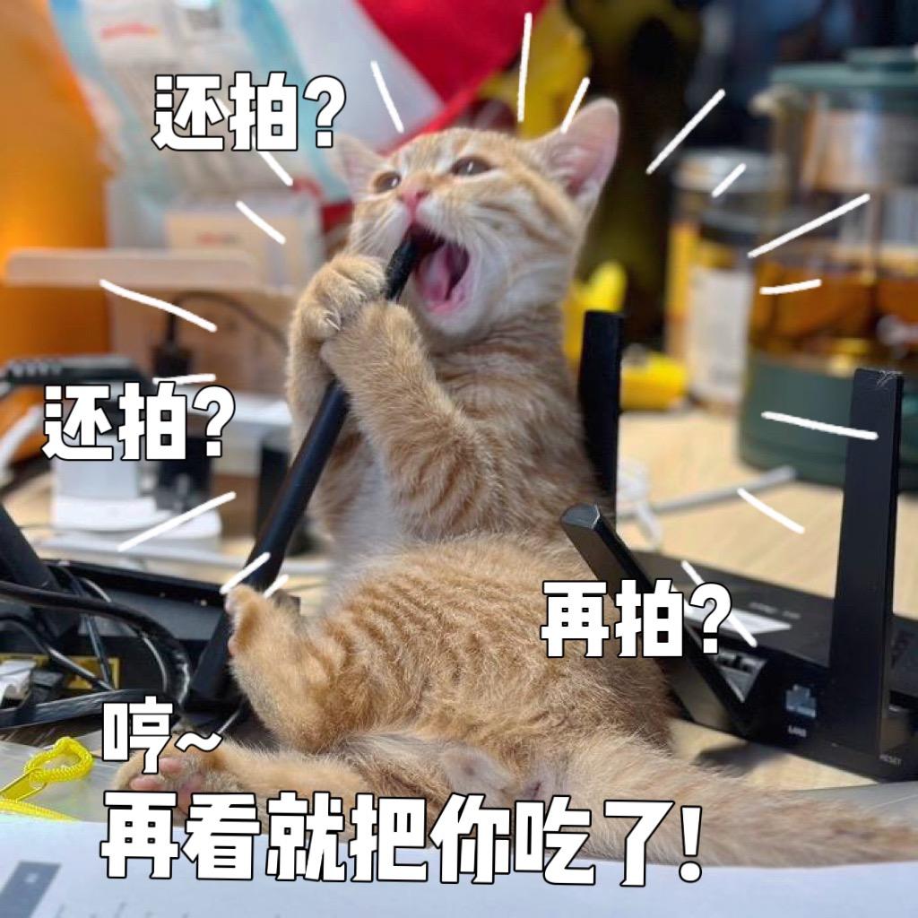 路虎