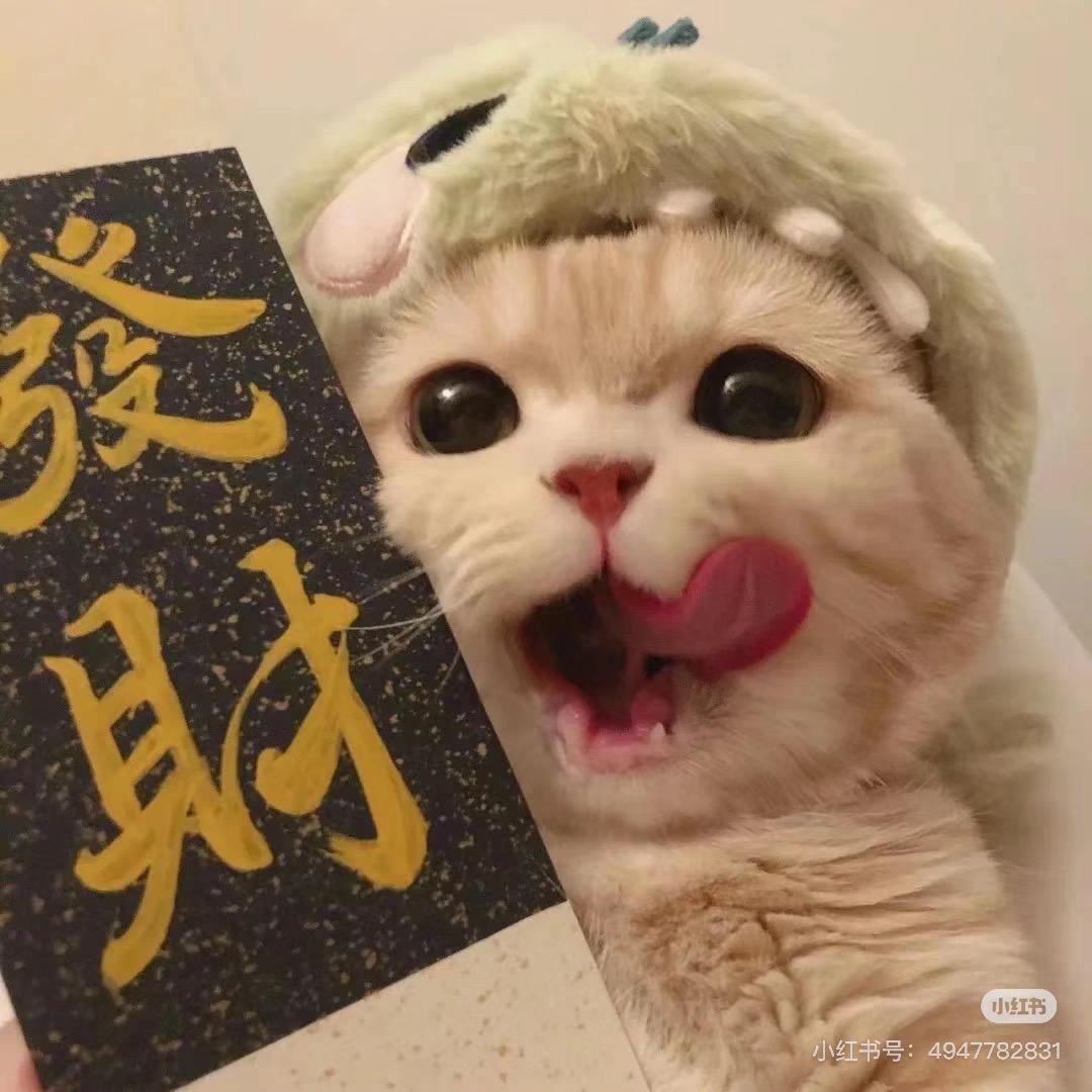 阿狗阿猫