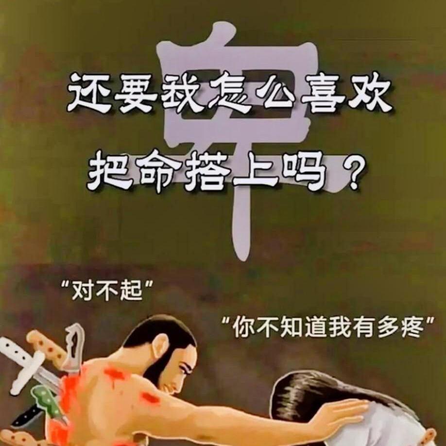 一只会享受的猪