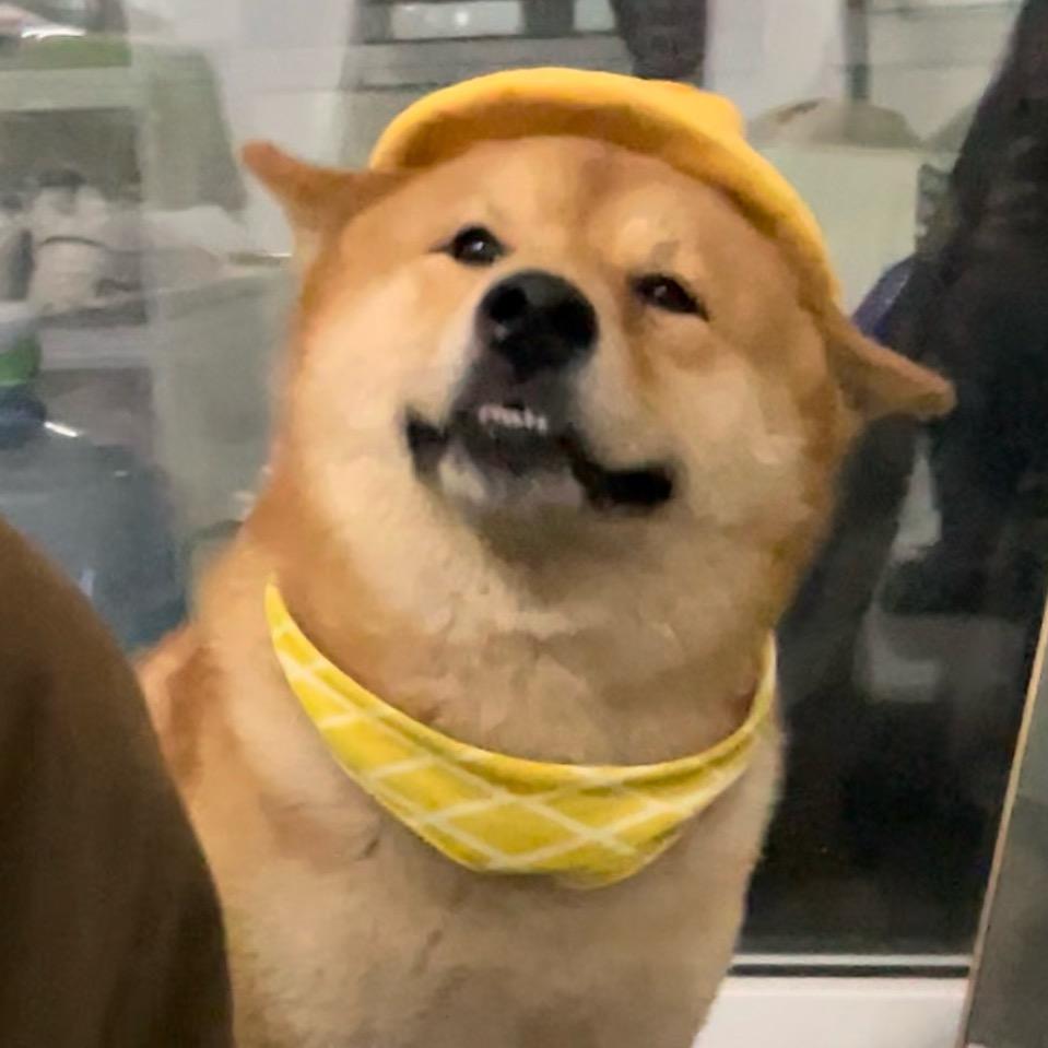 大柴双喜