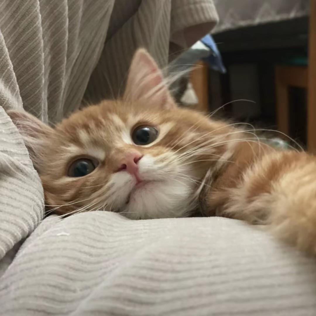 ^