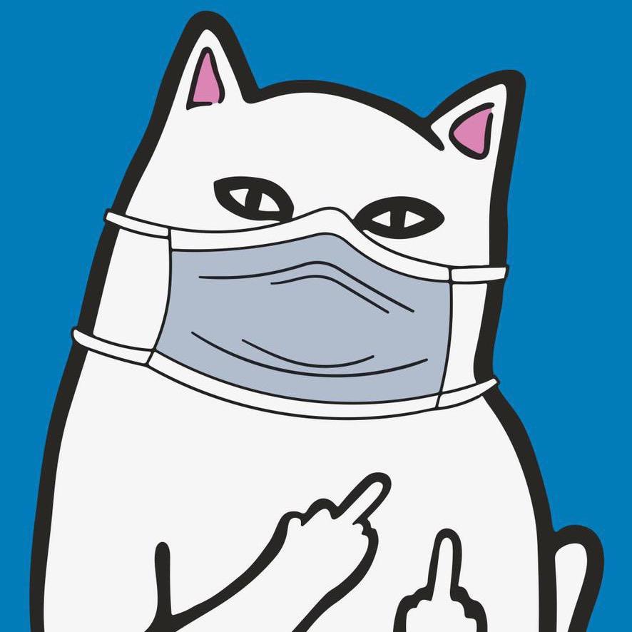 骨得猫宁！