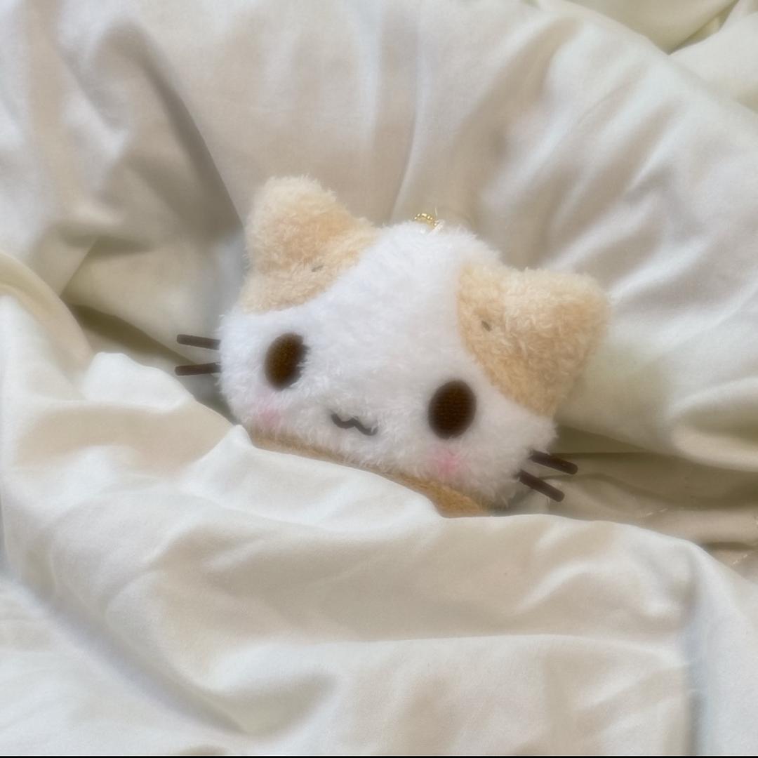 窝系小羊🐑