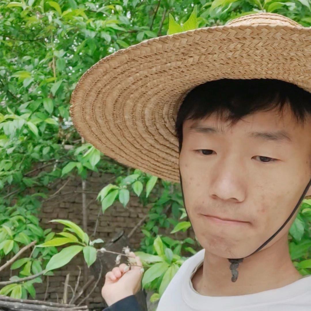 河南鹏鹏🎤
