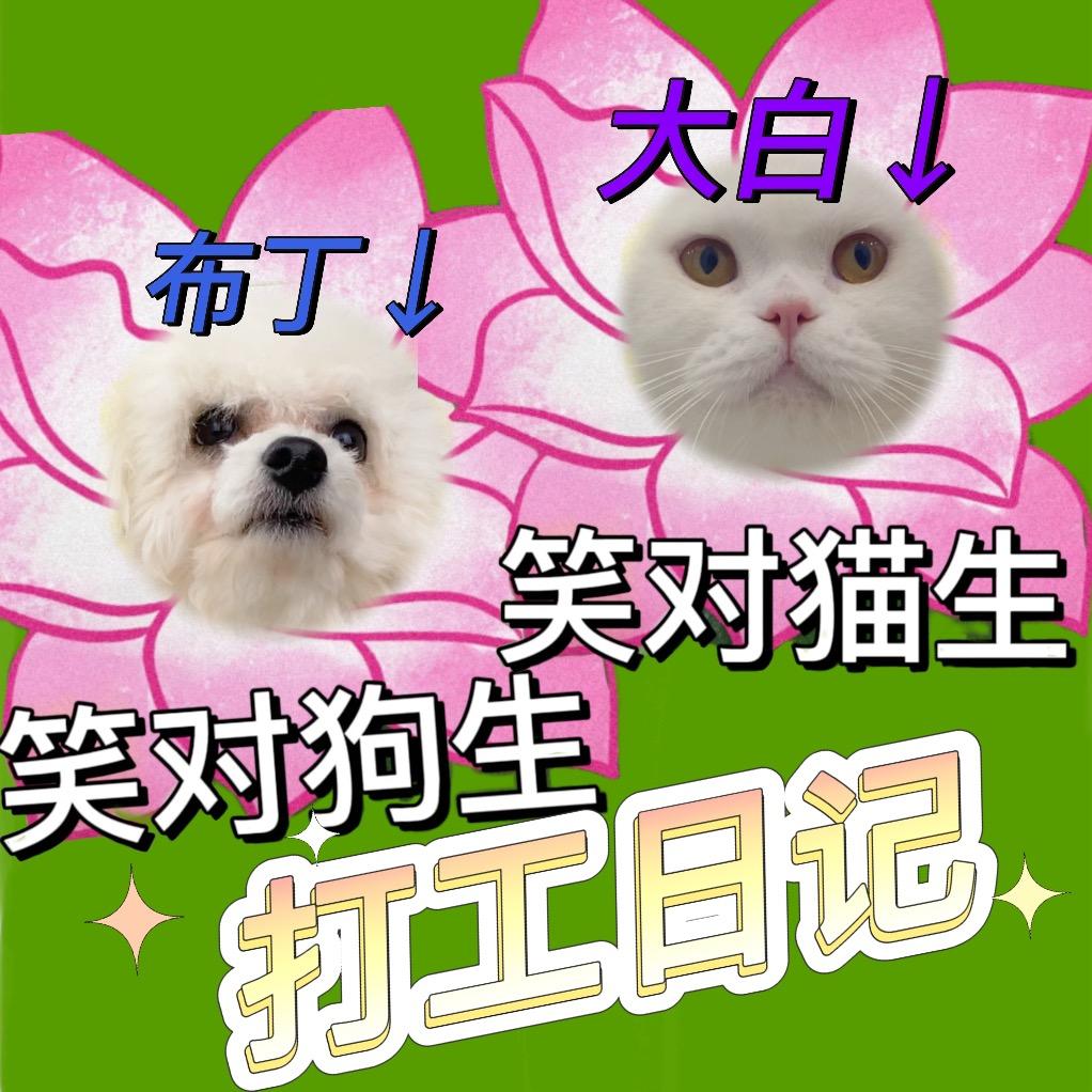 子辰宠物用品厂