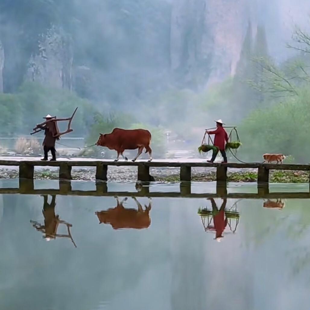 𓂀众人皆醒我独醉𓂀玩玩抖音莫当真𓂀