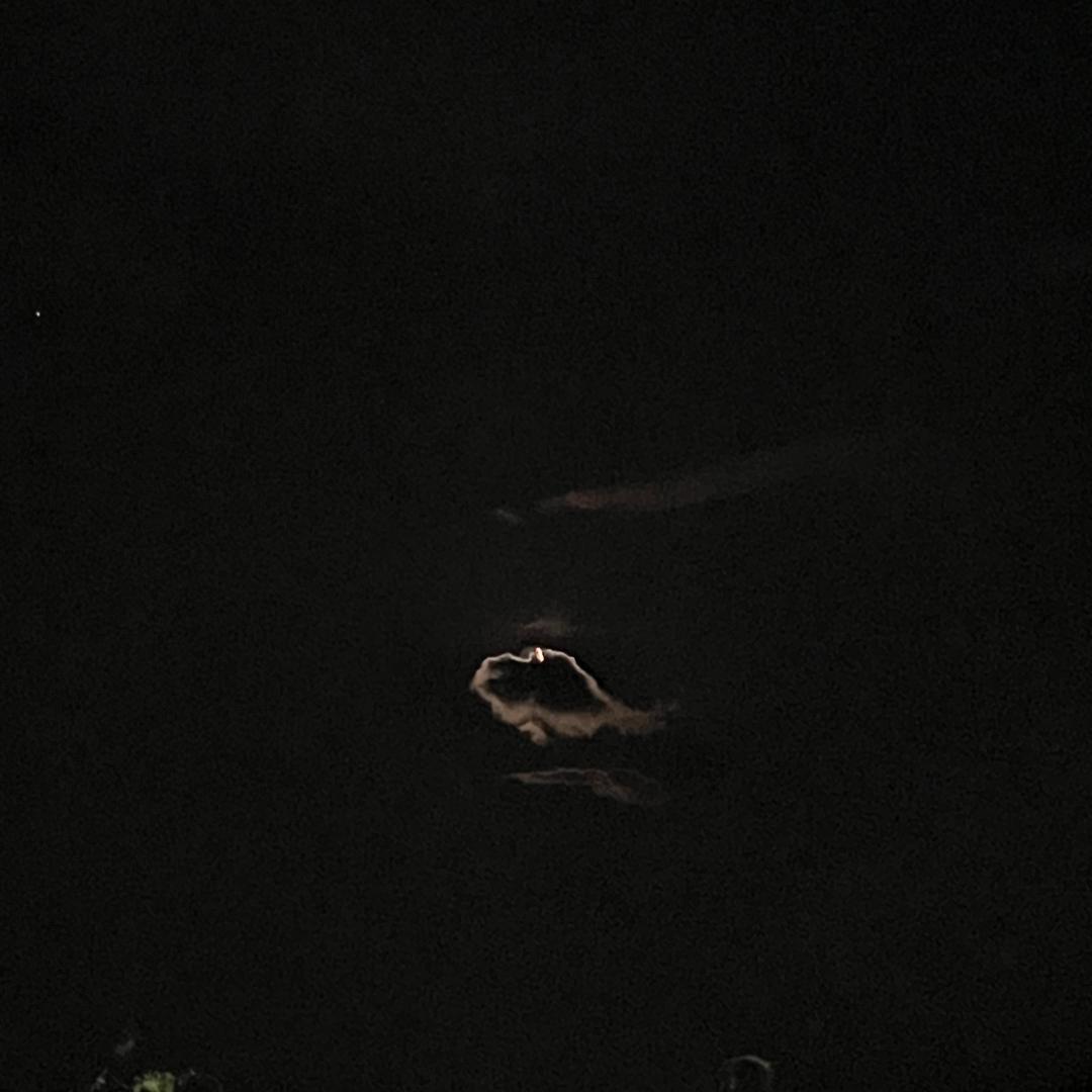 🐳不可说