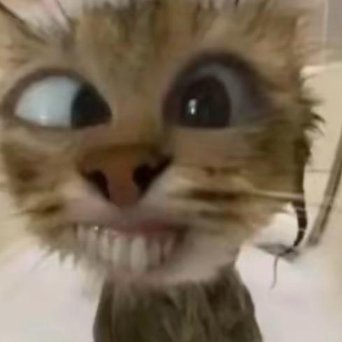 你和雪有个共同点