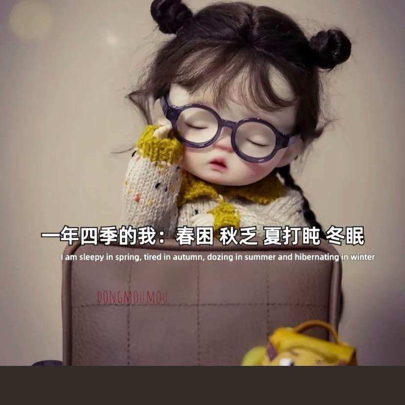 骑着马的骡子