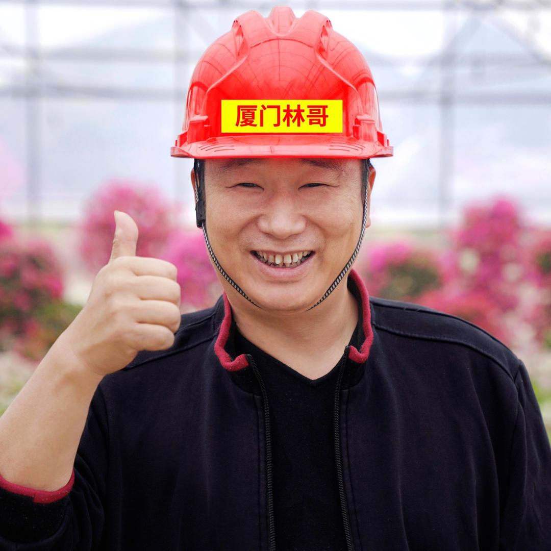厦门林哥