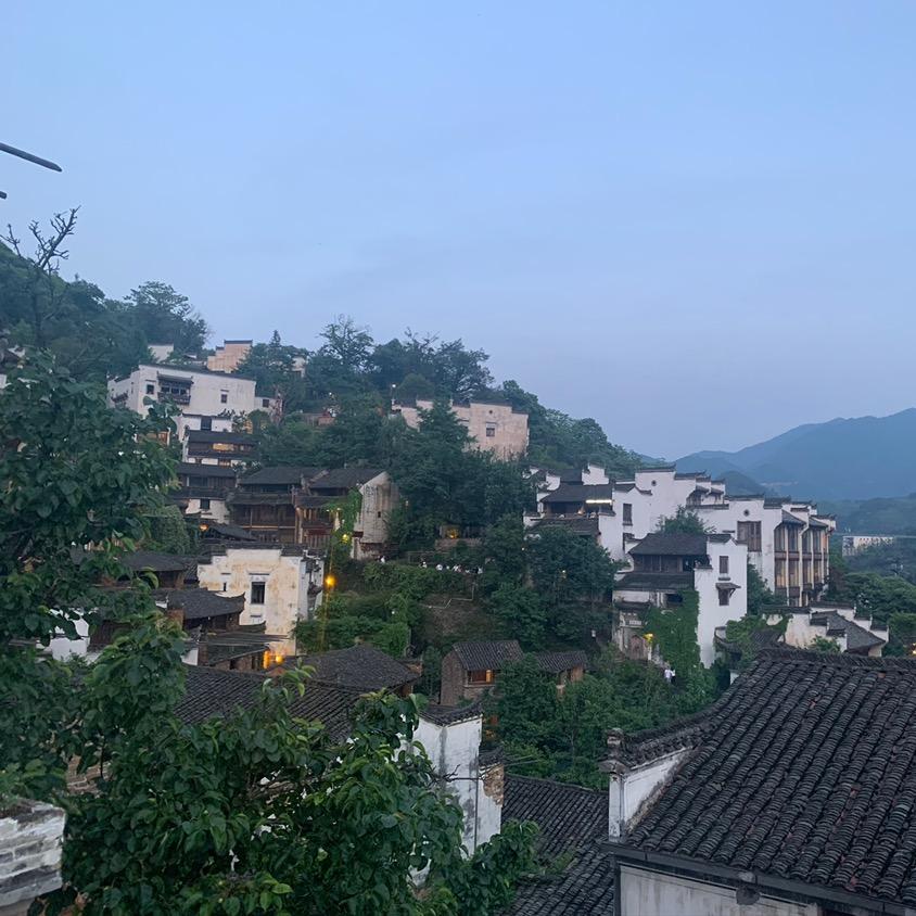 龙哥🤘🦾