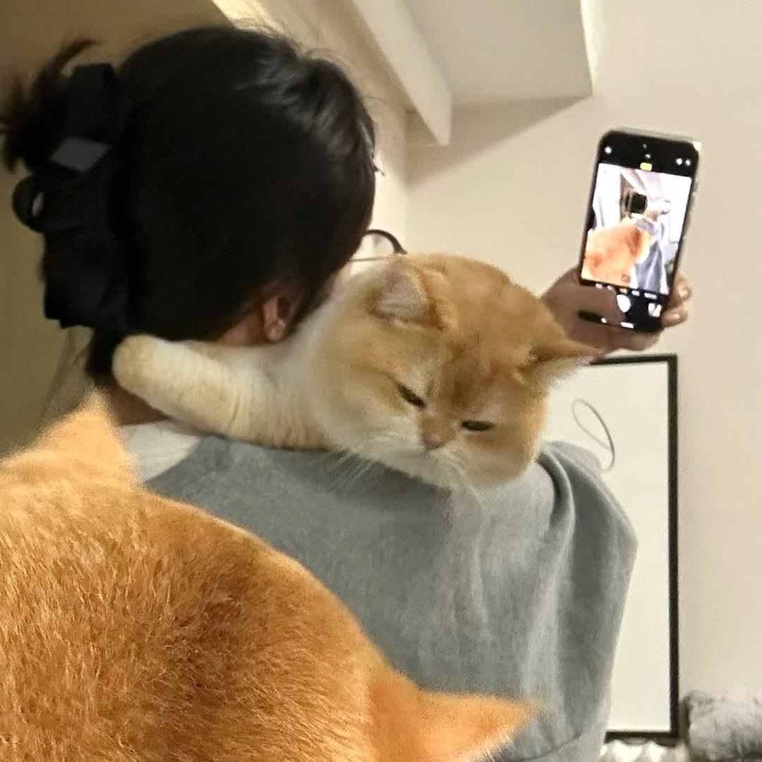 王祖咸_