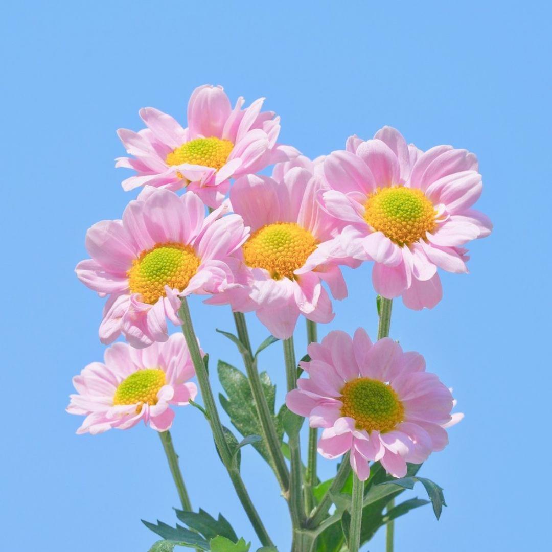 小杨正能量
