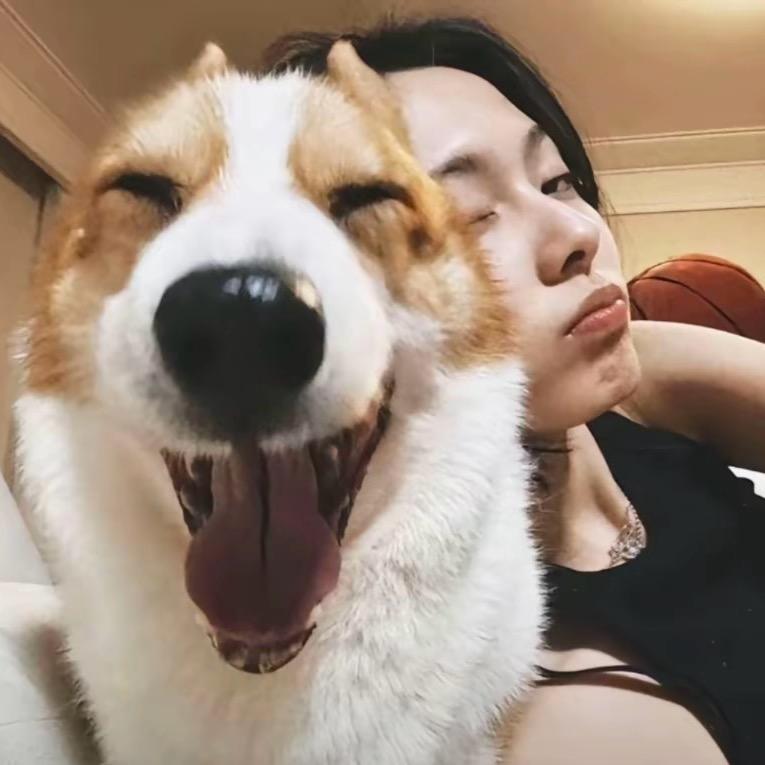 我的茉莉花