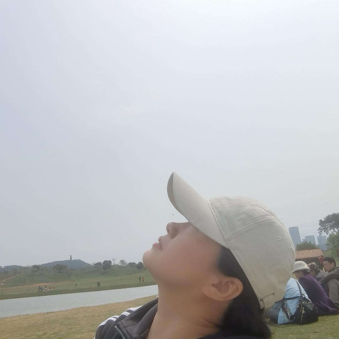 布伦