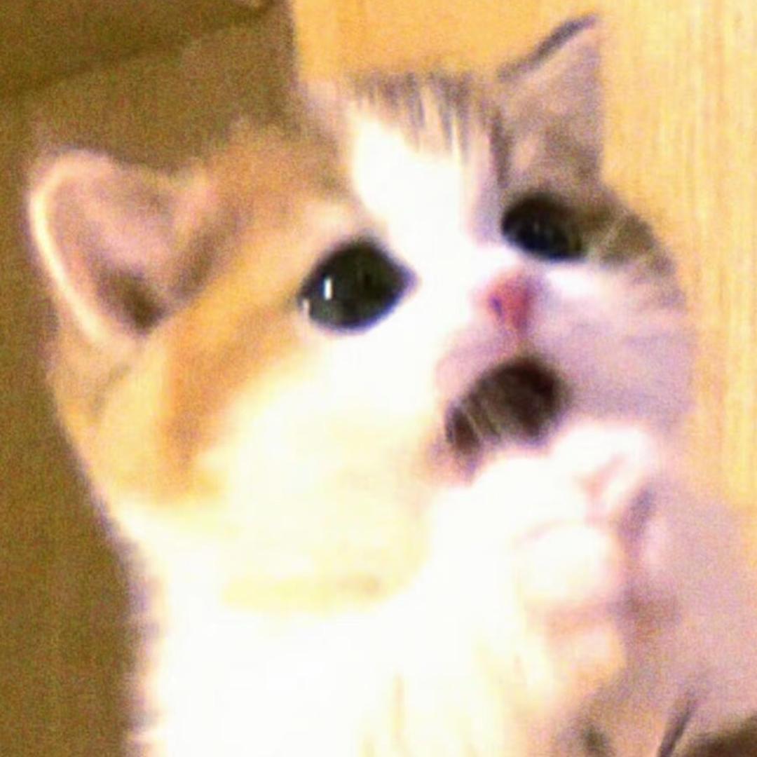 意面记得加狗头