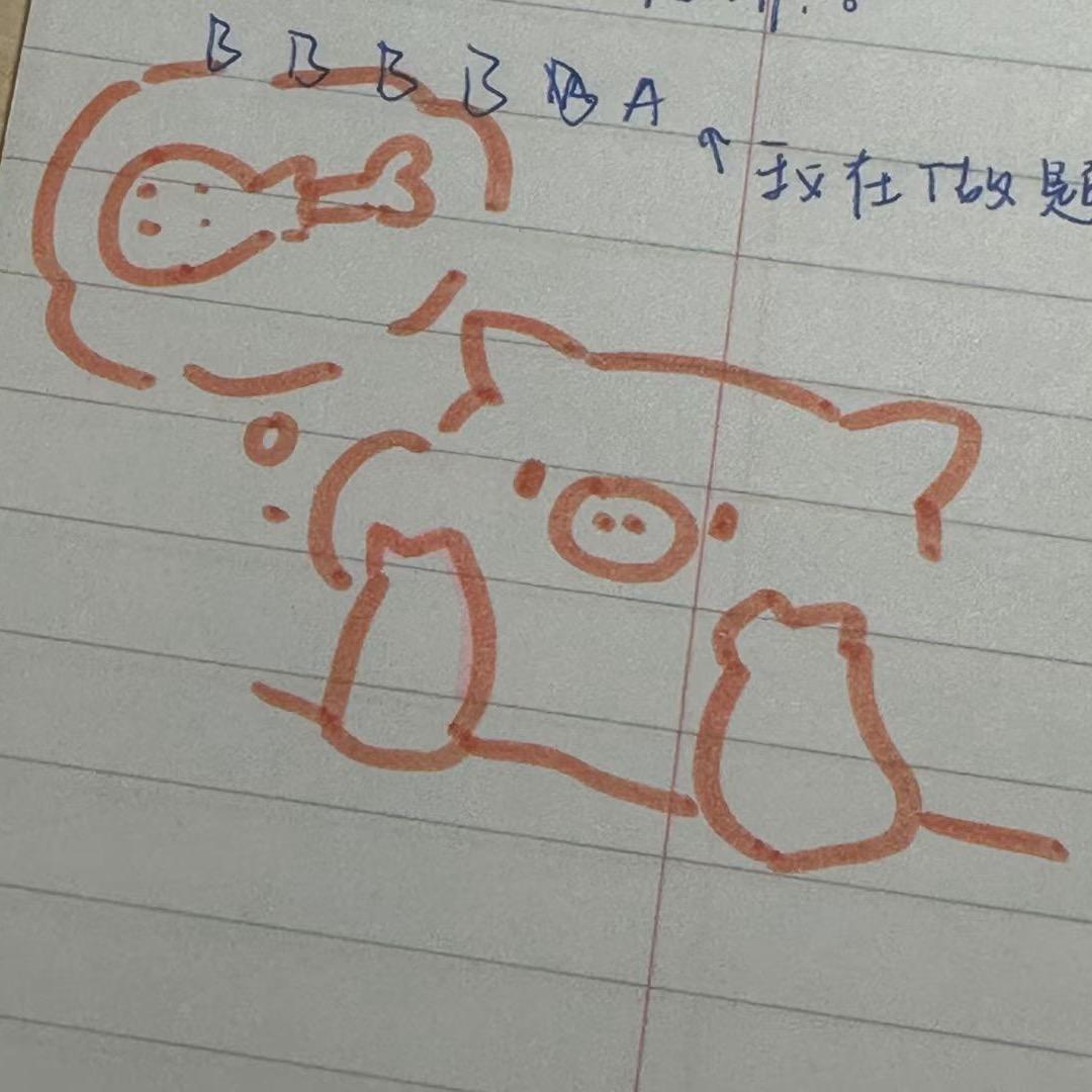 哈米波波 HM Double B