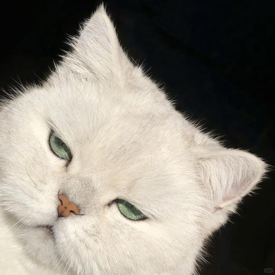 绾
