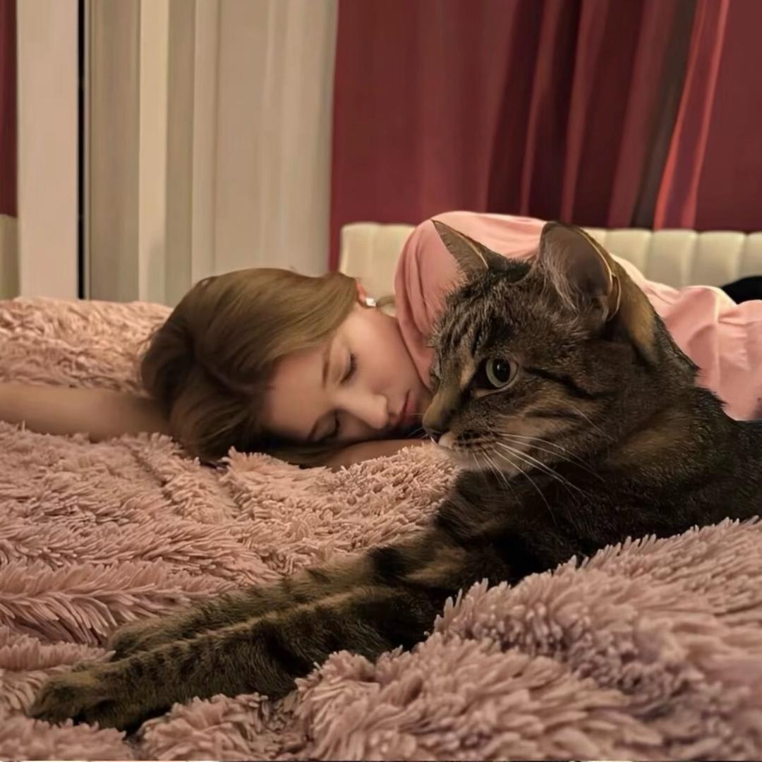 爱吃火鸡面🍽️