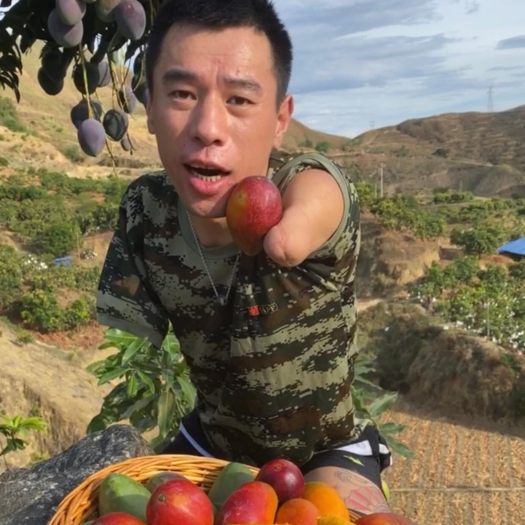 小月月果园