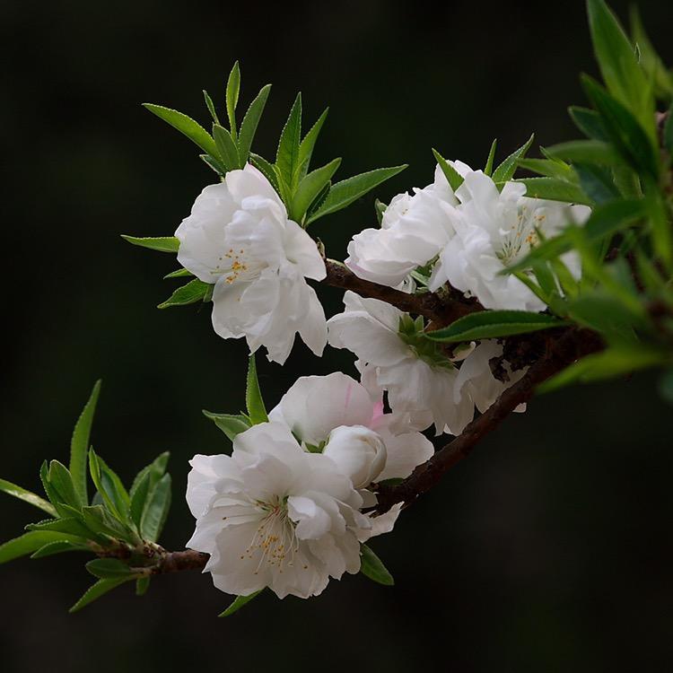 小杰生活号