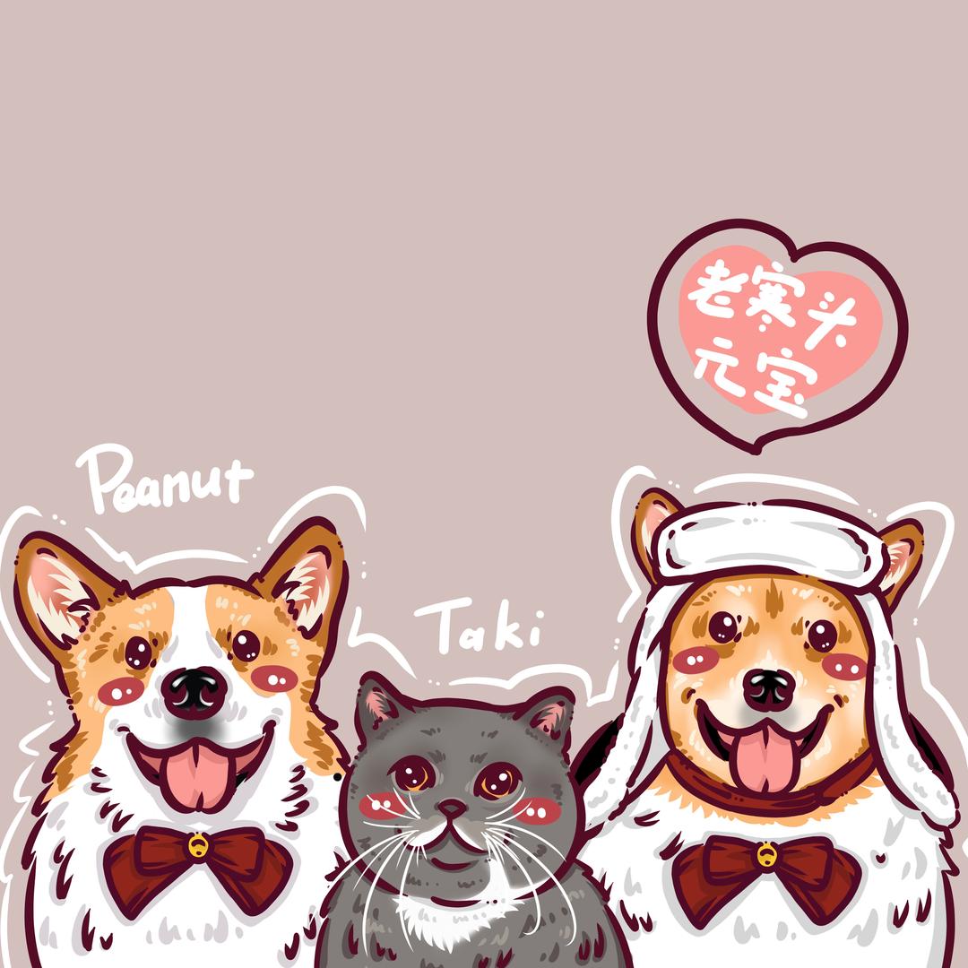 元宝的朋友圈