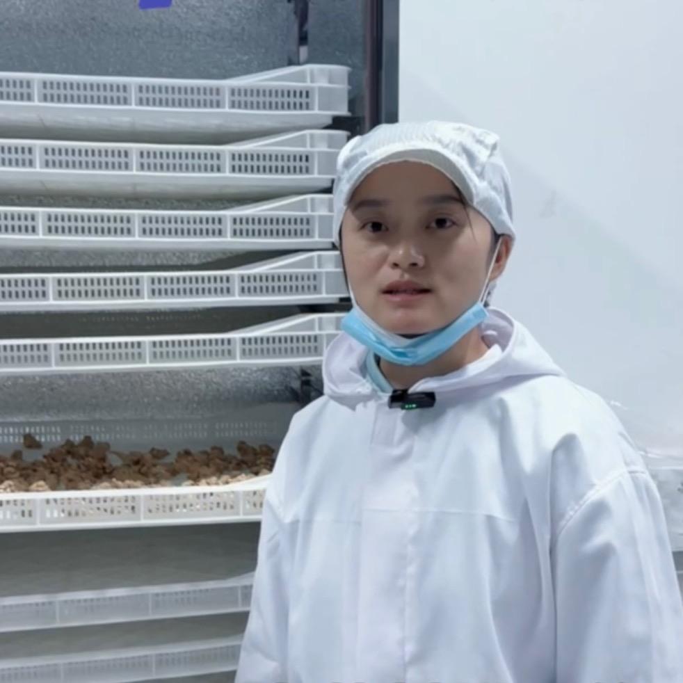 立春冻干食品厂海静