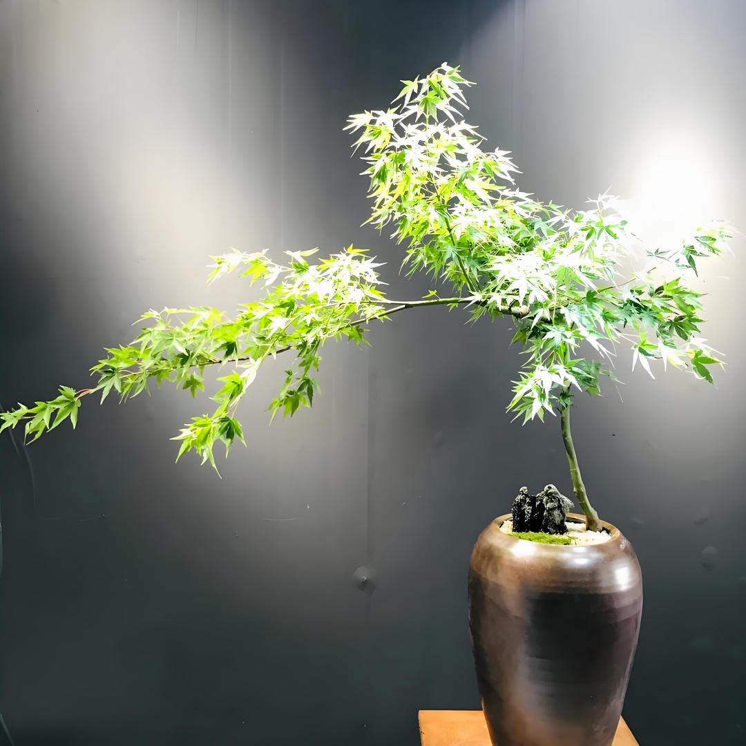益泰花卉