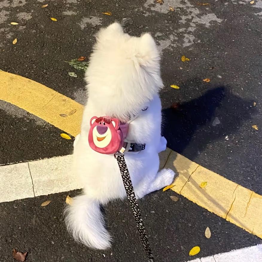 不吃香菜！
