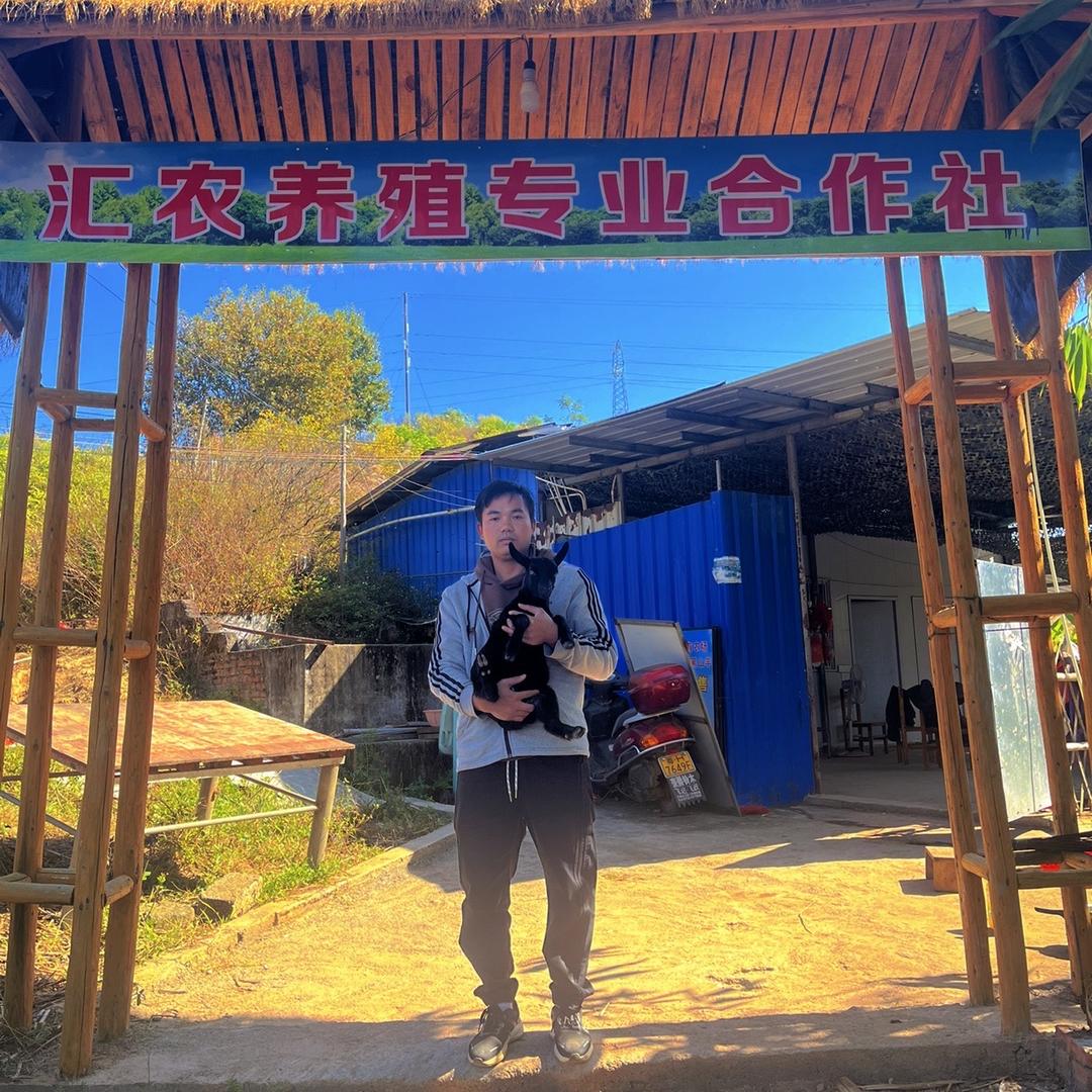 汇农优选鲜肉铺