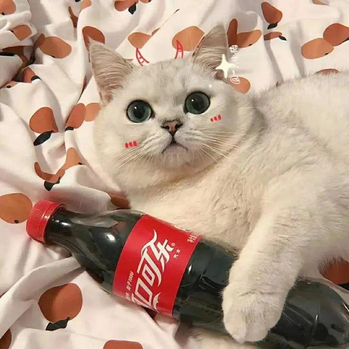小卓子😮‍💨