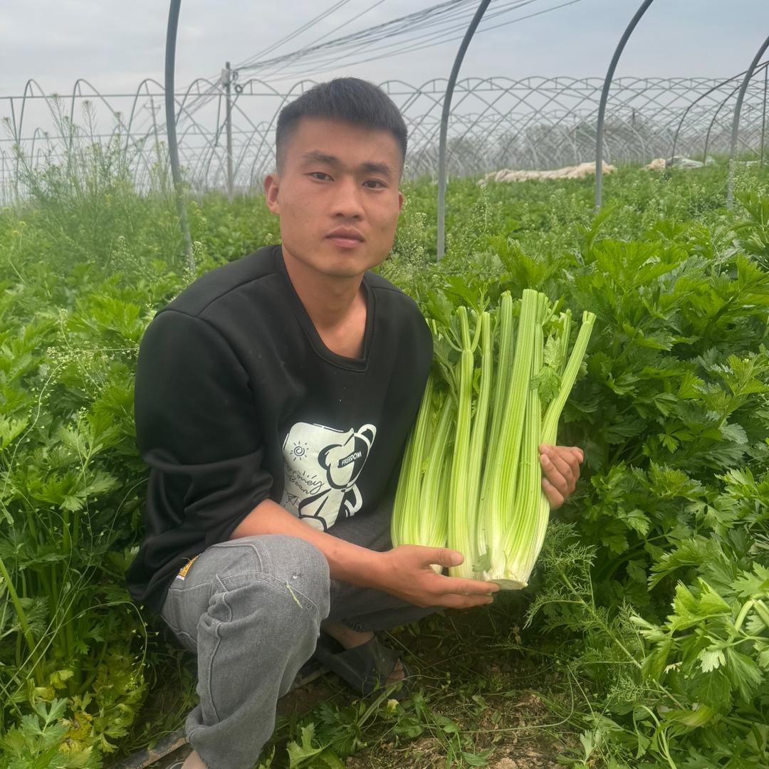 蔬鲜惠