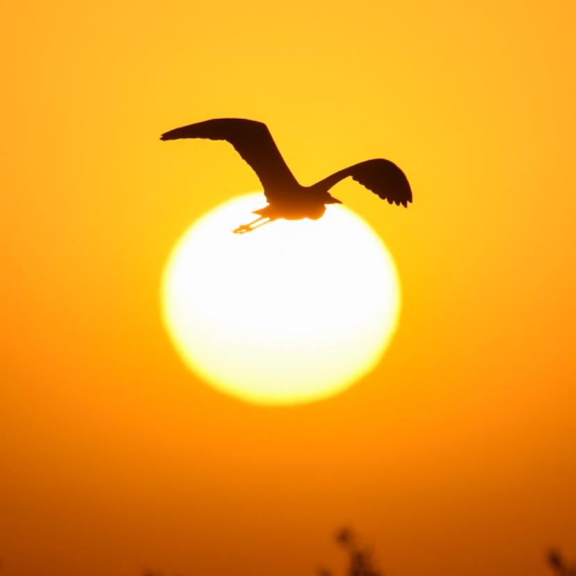 阜阳海涛