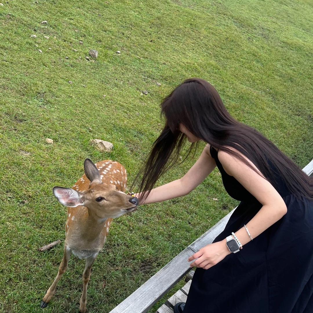 小鹿宜情