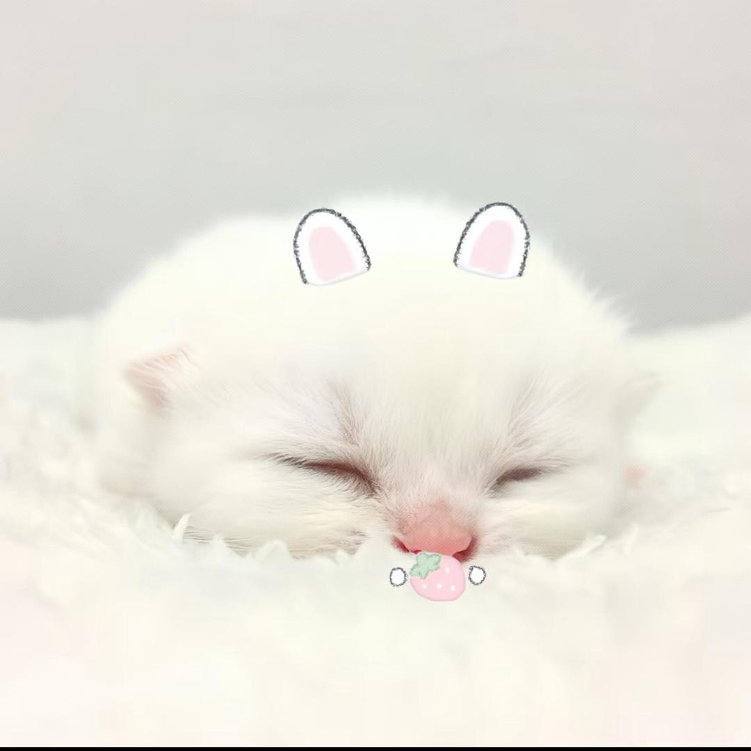 糖心何包蛋🍳